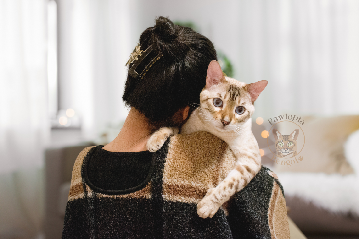 PawtopiaBengalkittensOntario_Bengalbreeder_Bengalcattery1